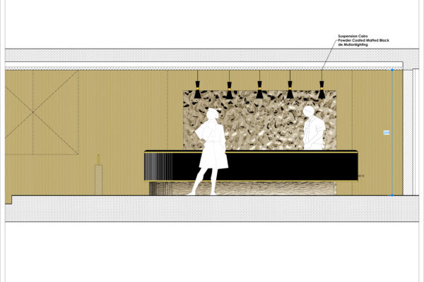 Zone 10 - Vestiaire - Elevation desk vestiaire2